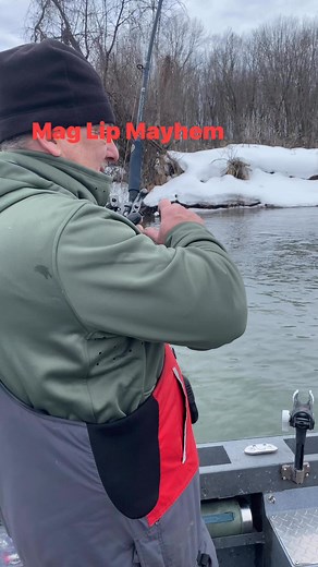 3.4K views · 40 reactions | Yakima Bait Mag Lip getting it done. What’s your favorite color? #maglip #yakima baitmaglip | Mark Romanack | Facebook