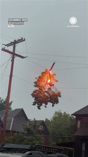 Tree Branch Catches Fire in Power Lines in Columbus, Ohio
