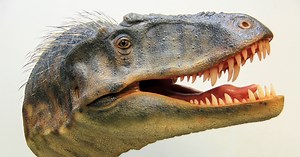 Terrifying New Dinosaur Species Discovered in Utah: See Photos!