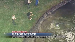 21K views · 127 reactions | GATOR ATTACK: An 85-year-old man is recovering after an alligator attack in Lakeland, Florida, with the gator biting his foot and trappers later pulling that animal from a pond at his retirement community with a sneaker in its mouth. Victor Oquendo reports. https://abcn.ws/2FLyzTu | ABC World News Tonight with David Muir | Facebook