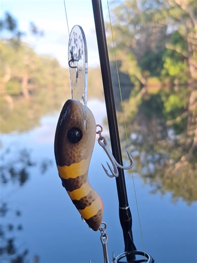 Diving Fishing Lures: Mastering Tight Swimming Action