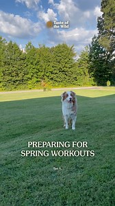 Spring training starts early this year! 😅 | Taste of the Wild Pet Food