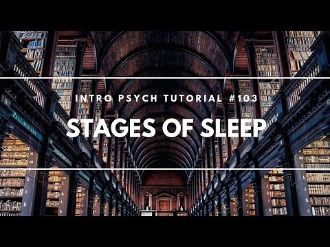 Stages of Sleep (Intro Psych Tutorial #103)
