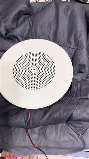 Bogen S86 Speaker Playing “Never Tear Us Apart” By INXS