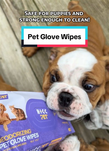 Essential Pet Glove Wipes for Easy Dog Grooming