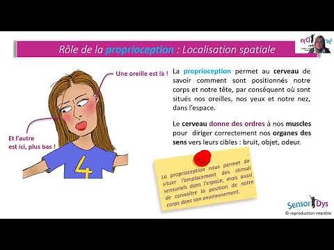Partie I : La Proprioception