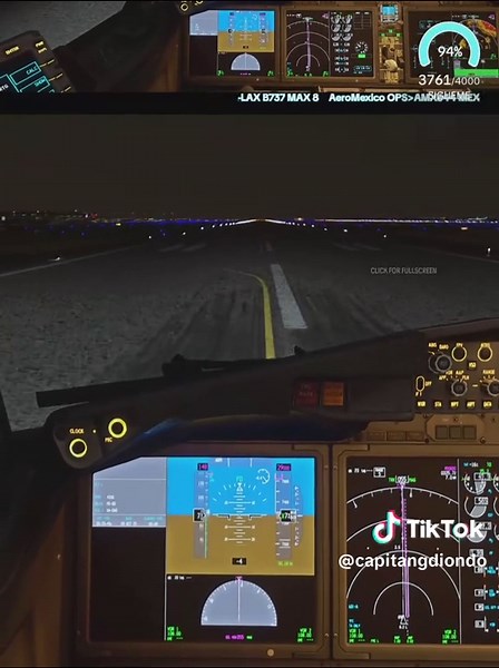 B737 MAX 8 Rejected Takeoff Simulation Highlights