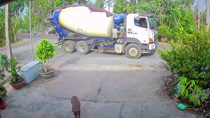 Lucky dog ambles away seconds before truck wheel explodes