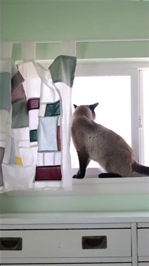 I hyperfixated too hard and now I know how to use a sewing machine. #diycurtains #pojagi