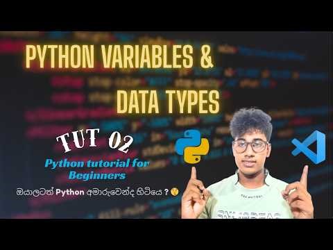 Python Basics, Variables & Data Types | Python tutorial for Beginners | Loki’s Tech Vibes