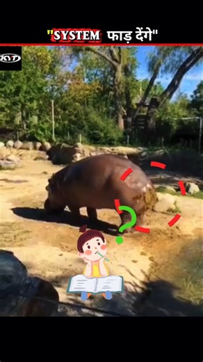 Why do Hippos Spray Their Poop 🤯