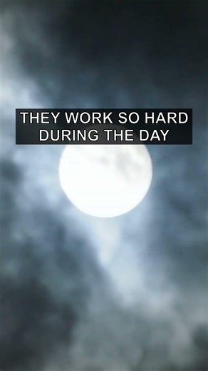 Guided Ocean Sleep Meditation: Let the Waves Carry You to Deep Sleep