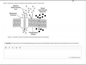 Unit 2 Progress Check FRQ 2