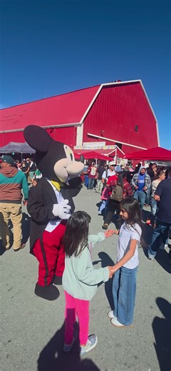 Exploring Aromas: The Charm of 101 Red Barn in California