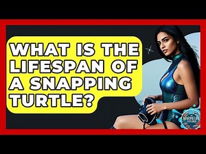 What Is The Lifespan Of A Snapping Turtle? - The Marine Life Explorer