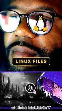 LINUX File System Explained | Learn Linux today!