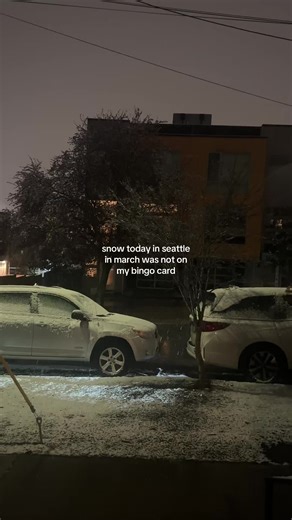 Spring Delayed: Snow in Seattle This March