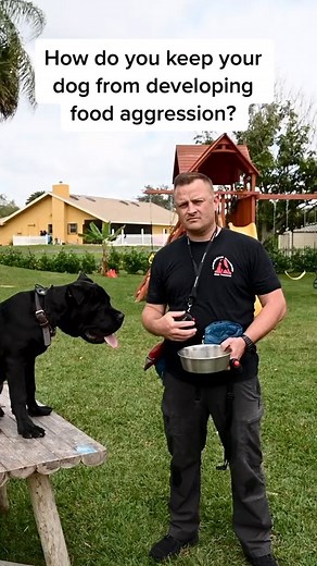 2.8M views · 10K reactions | All hands in. #dogtrainer #DogTraining #dogtrainingadvice #dogtrainingtips #fyp #southfloridadogtrainer #dogtrainers | Pet Dogs | Facebook