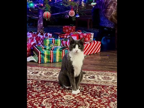 Episode 3052 CWSA 12/24/25