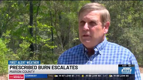 Marion County wildfire size increase part of plan to remove wildfire fuel, agency says