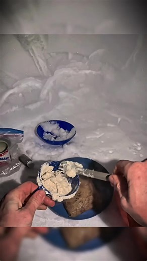 Camping Under the Snow: Mastering Survival Shelters