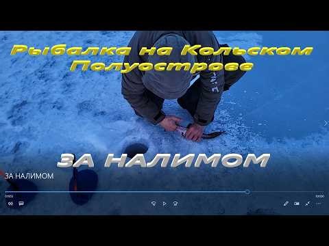 ЗА НАЛИМОМ. Постановка жерлиц на налима.