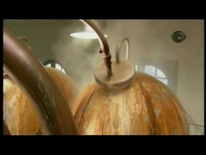 How It's Made Absinthe