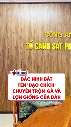 Bắc Ninh: Bắt giữ đạo chích trộm gà và lợn giống