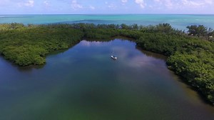 Find a natural paradise in the heart of Miami on Virginia Key. #LoveFL | VISIT FLORIDA