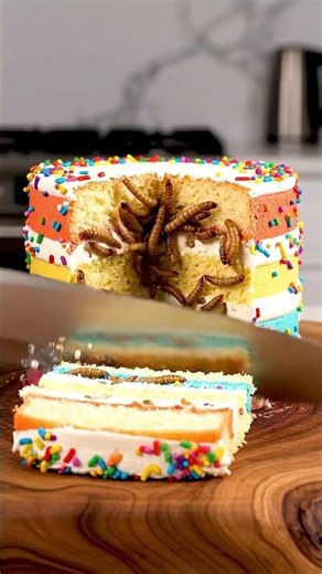 WHO WOULD WANT TO EAT THIS ?