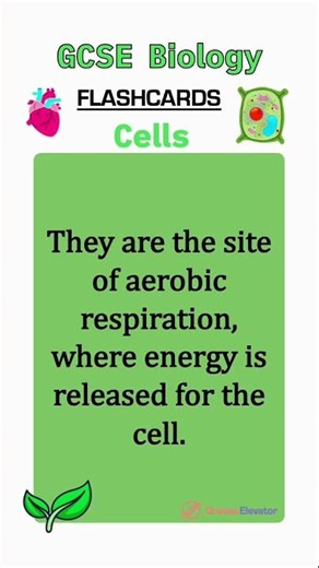 Cell biology revision flashcards GCSE #education #revision #combinedscience