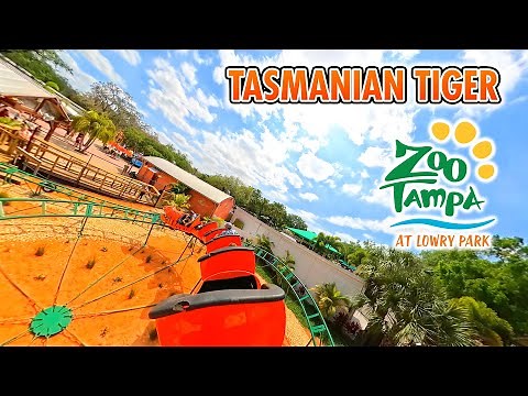 [4K] Tasmanian Tiger - Roller Coaster | On-ride POV | ZooTampa at Lowry Park