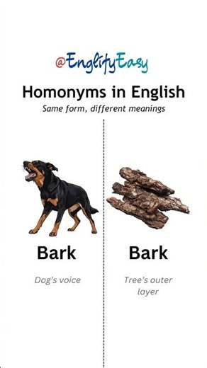 English Homonyms Made Easy 🔤 | Same Sound, Different Meaning!