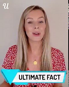 9.1M views · 60K reactions | This giant pillow blanket is made up of 200 tiny little sqaures filled with stuffing. And it looks amazing!  | Ultimate | Facebook