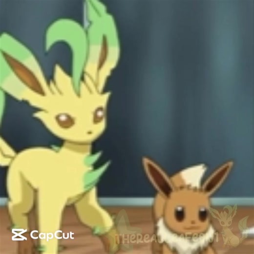 Uhh new post finally! PLS DONT FLOP THIS TOOK WAY TOO LONG- — #pokemon #leafeon #eevee #evolution #leafeonpokemon #leafeonedit #cutesy #grasstype #grasstypepokemon #pokemonfan #edit #boost #plsoost #fyp #fup #fyppp