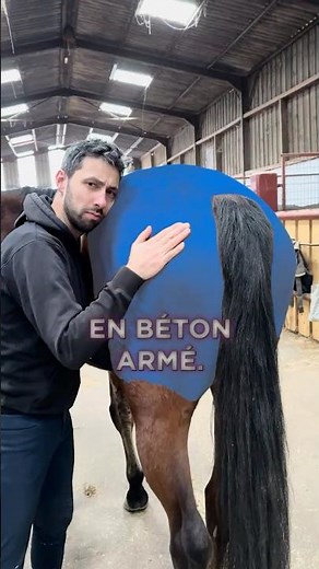 🐎 3 exercices indispensables pour une croupe en béton 🐎