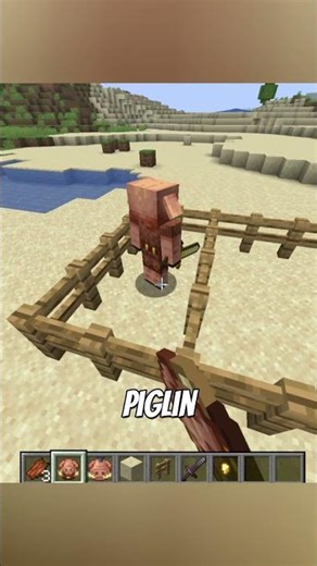 all MINECRAFT TRANSFORMATIONS!?