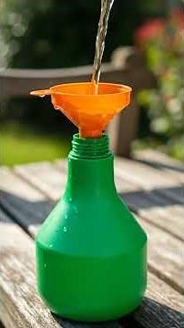 Black Spots on Roses? Here is the SOLUTION! | Gardener's Tips