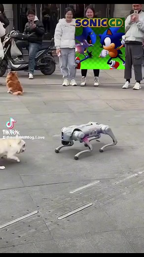 Sonic CD Funny Meme Compilation