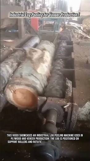 Industrial Log Peeling for Veneer Production #innovation #machinery #technology