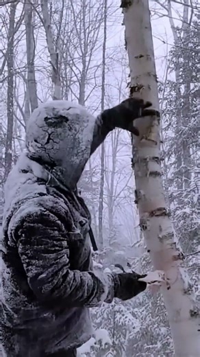The BEST Winter Bushcraft Trip You'll Ever Take in 2024! #survival #shorts #shortsviral #bushcraft