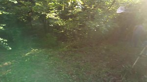 What does a Liberland Settlement look like after a week since the borders opened? See yourself! Become part of the freest country in the world and register at liberland.org for your own e-Residency or passport! #osijek #croatia #camping #sombor #apatin #camp #liberland #community #libertarian #summer #serbia | Liberland