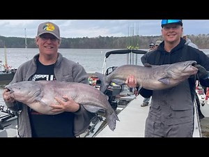 GIANT Catfish Love Heavy Current | Catfish Tournament on Lake Mitchell
