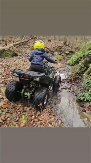 Would You Let Him Do This? 😬 #atv #offroad #mud #waterride