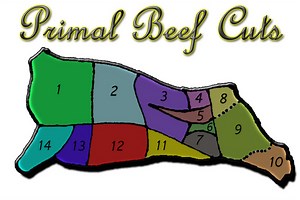 Beef Cuts and How to Cook Them
