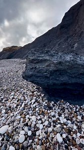 3.1M views · 31K reactions | We came across a fresh mud LANDSLIDE! ️ Amongst it, we found these fossils!  These 100 Million Year Old Cretaceous specimens were so exciting to find, we are so pleased with them!  These are Belemnite and Hibolite fossils (Squid-like creatures) which we were lucky enough to find! 撚 #natural #nature #fossil #fossils #fblifestyle | Yorkshire Fossils | Facebook