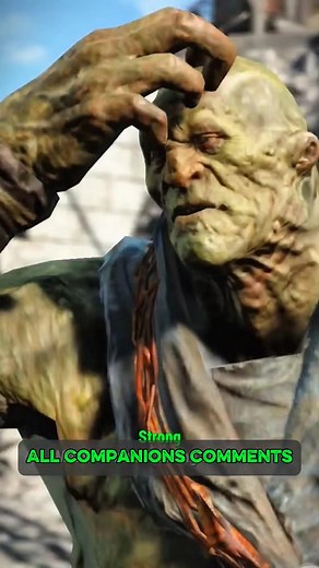 All Companions Comments #fallout #fallout4 #fblifestyle | Bear798