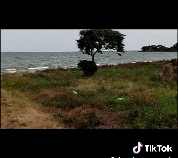 Are you looking for a piece of land where you can unwind and connect with nature? Look no further than Malembo in Kyotera/Masaka.