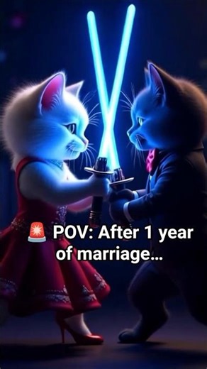 🔴🐱1 Year of Marriage = Laser-Guided Cat Warfare 🔥🐱🔴 #shorts