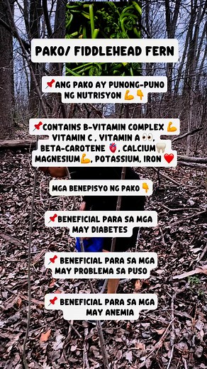 41 reactions · 57 comments | Huwag kumain ng Pako/Fiddlehead Fern #pako #fiddleheadferns #pakobenefits #food #edible #nutritional #greenleafyvegetable #pakoleaves | Mario Ritondo Agbayani | Facebook